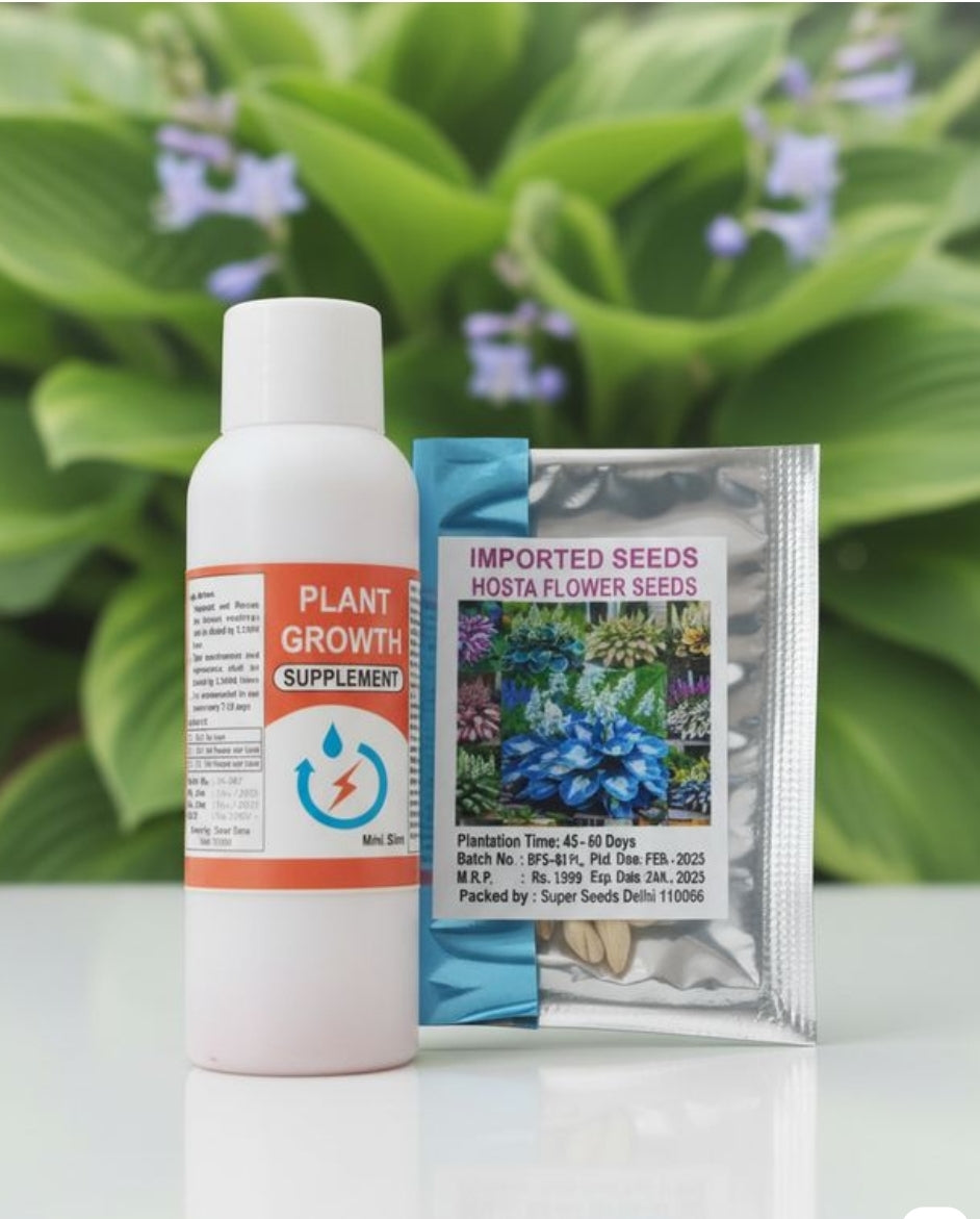 AI IMPORTED SEEDS HOSTA SEEDS AND PLANT GROWTH FREE PACK 1
