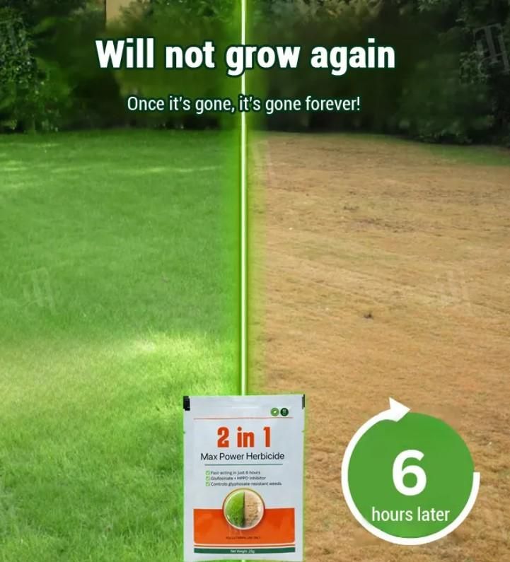 (Pack of 2) Dual-Action Weed Killer Max Power Herbicide