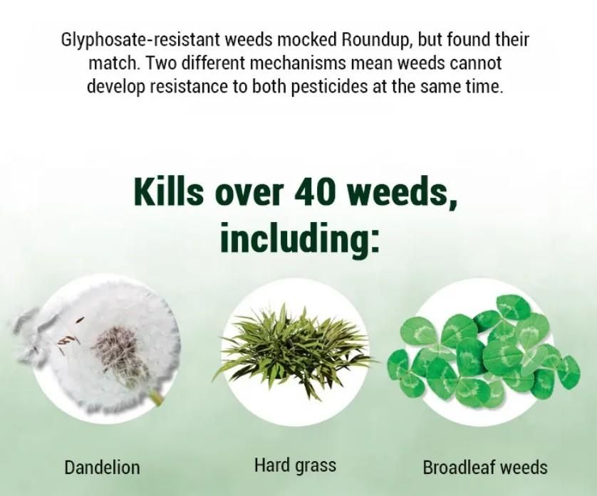 (Pack of 2) Dual-Action Weed Killer Max Power Herbicide