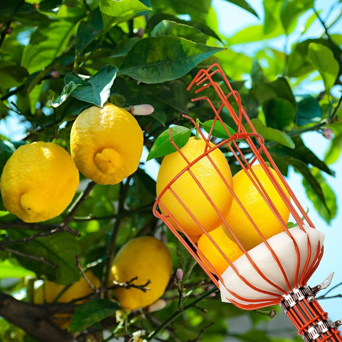 Heavy-Duty Fruit Picker Tool with Stainless Steel Connecting Pole