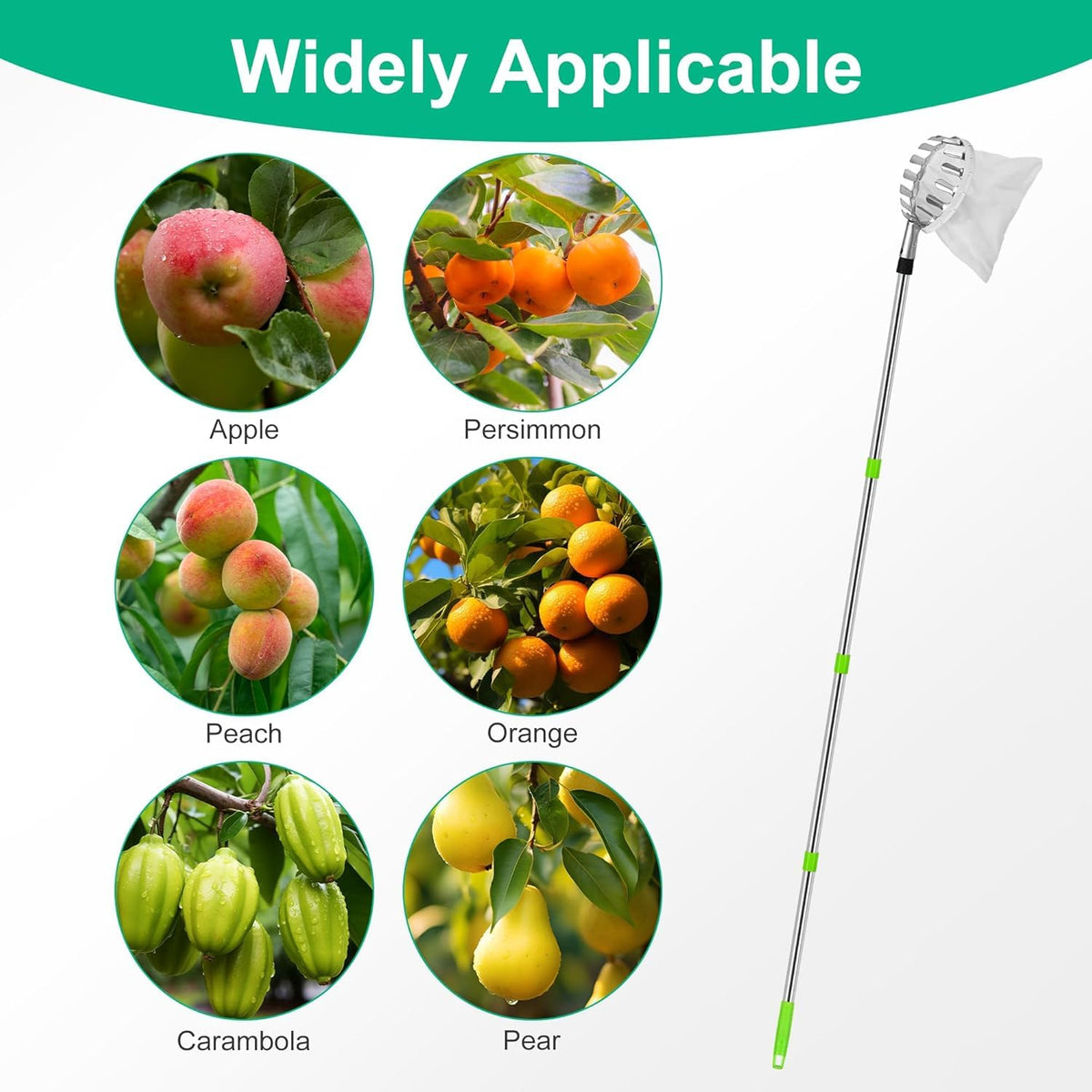Fruit Plucker with Extendable Telescopic Pole & Fruit Picking Net – Alloy Steel Tree Fruit Picker, Easy to Assemble