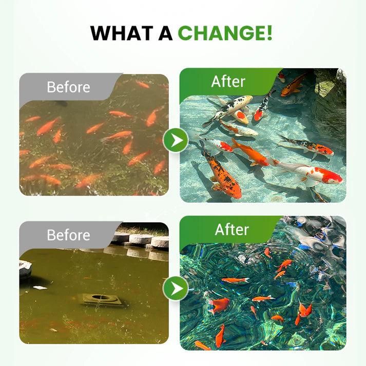 Water Conditioning Powder for Ponds – Fish Safe Water Cleaner