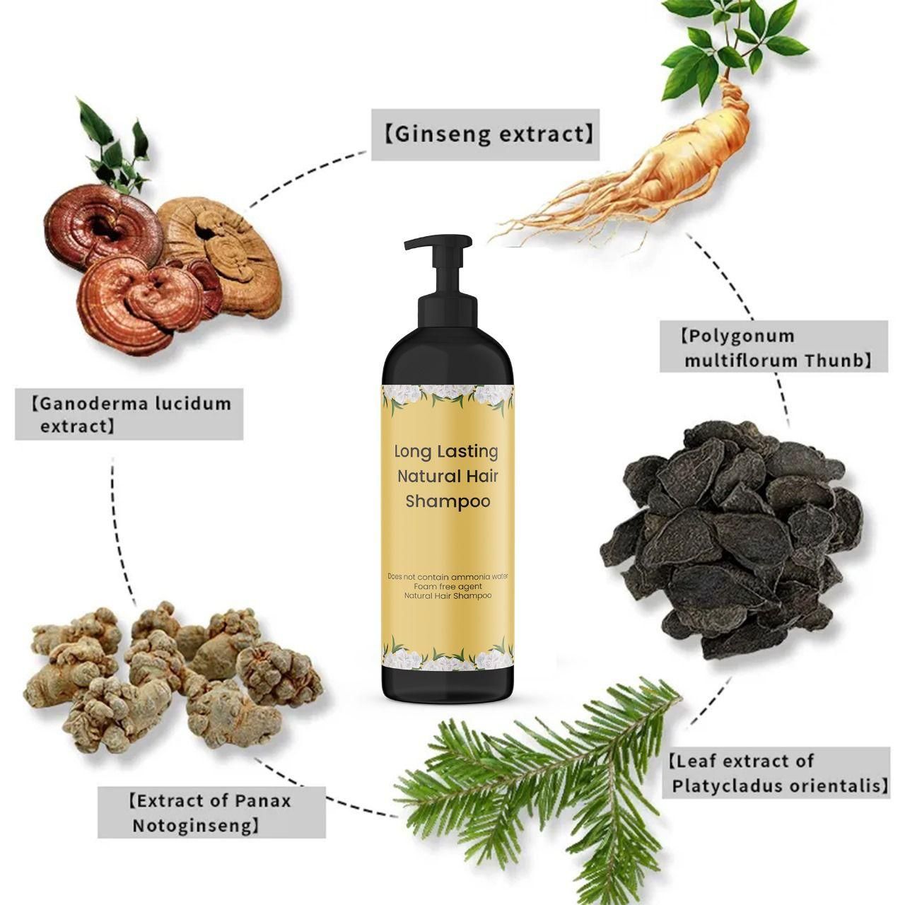 (Pack of 2) Long Lasting Natural Hair Dye Shampoo