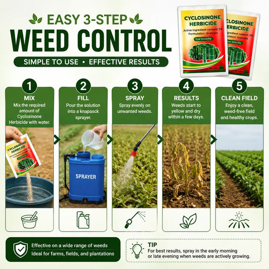 (Pack of 2) Cyclosinone Herbicide Weed Killer – High-Power Granules & Growth Supplement