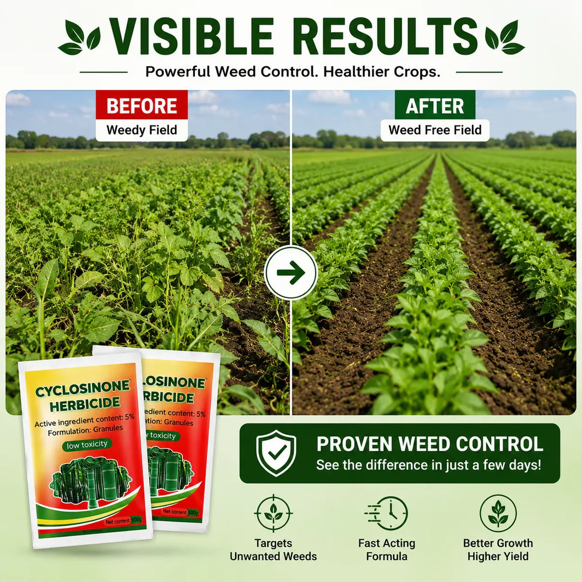 (Pack of 2) Cyclosinone Herbicide Weed Killer – High-Power Granules & Growth Supplement