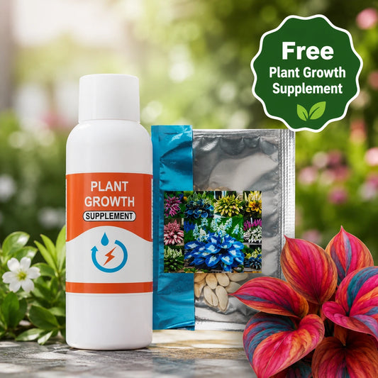 Imported Hosta Seeds with Free Plant Growth Supplement – Pack of 1