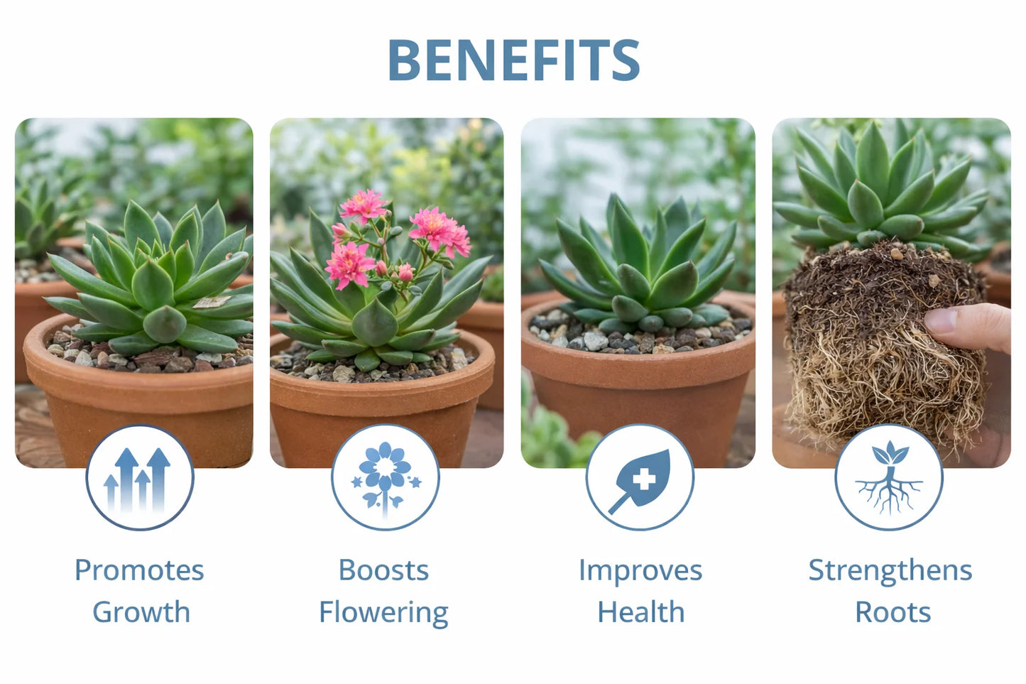 (Pack of 2) Plant Growth Supplement – Liquid Fertilizer for Indoor & Outdoor Plants