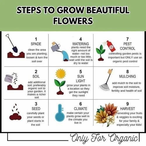 150 Variety Organic Flower Seeds Pack with Free Plant Growth Supplement