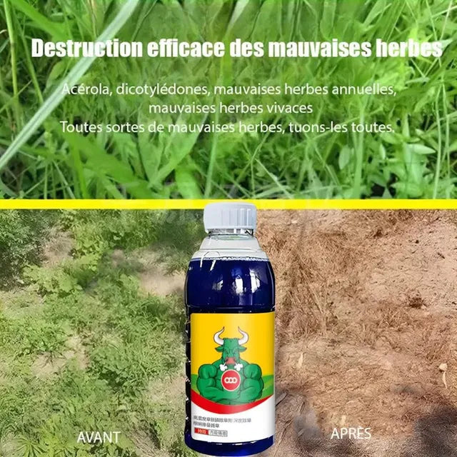 (Pack of 2) Organic High-Concentration Glufosinate Herbicide for All Crops