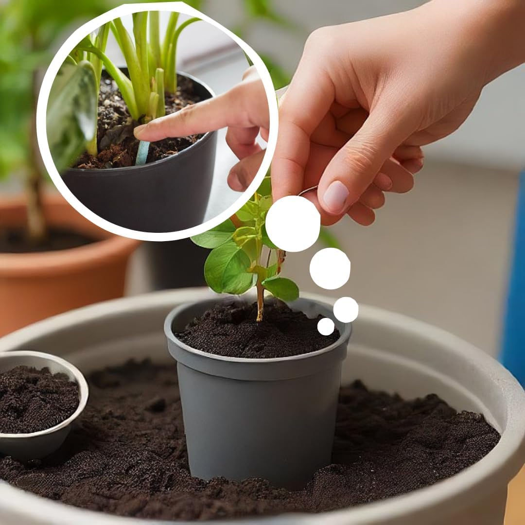 (Pack of 2) Plant Food Sticks for Indoor & Outdoor Plants - 50 Pcs
