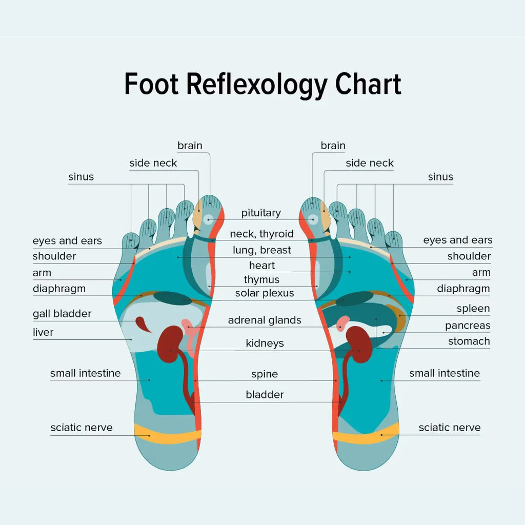 Acupressure & Magnetic Therapy Paduka/Slippers for Full Body Blood Circulation (Men & Women)
