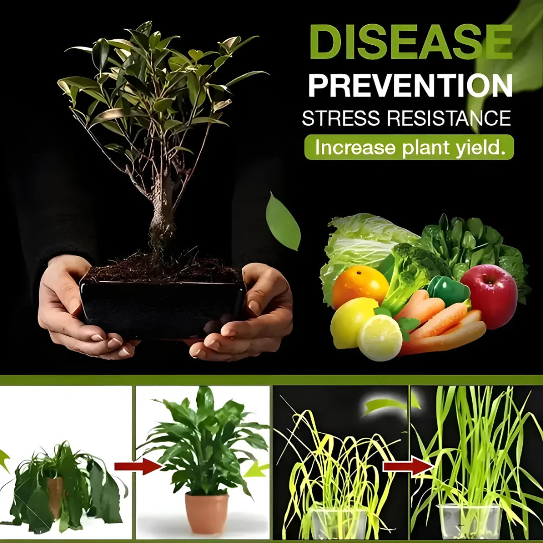 (Pack of 2) Premium Soil Activator - Organic Soil Activated Treasure