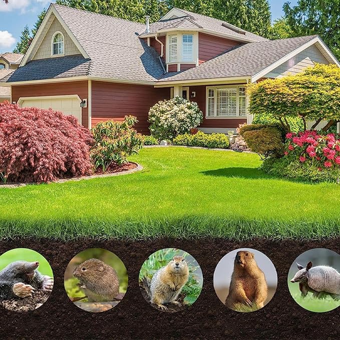 (10 Tablet) Mouse Repellent Pills – Rat Controller Pills for Home & Vehicles