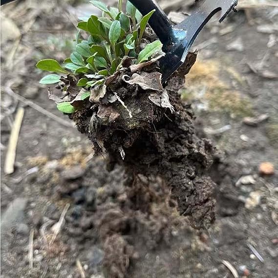 Garden Weeder Tool Digging – 4 Teeth Manual Weed Puller