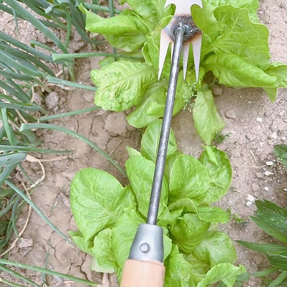 Garden Weeder Tool Digging – 4 Teeth Manual Weed Puller